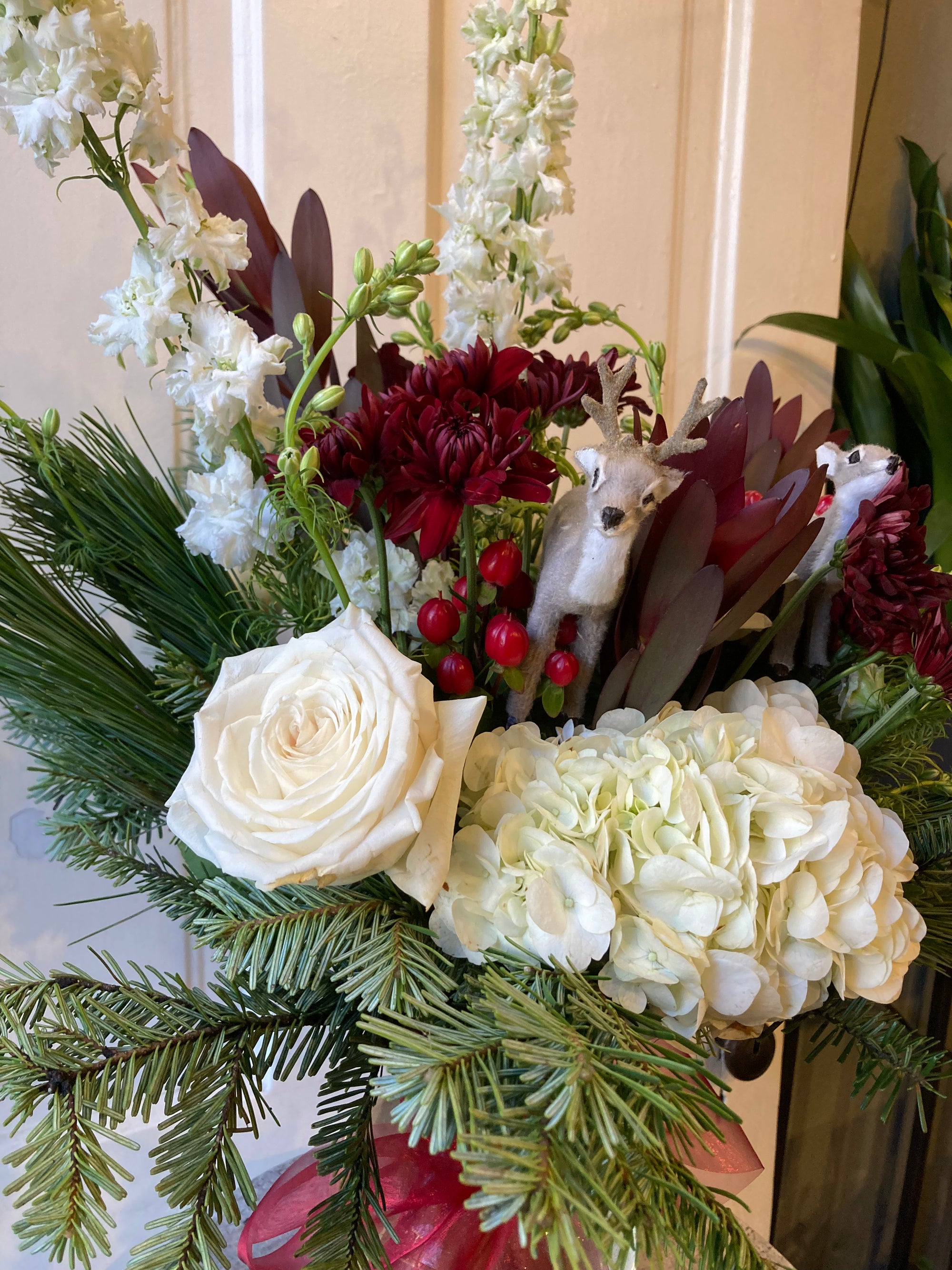 holiday forest walk