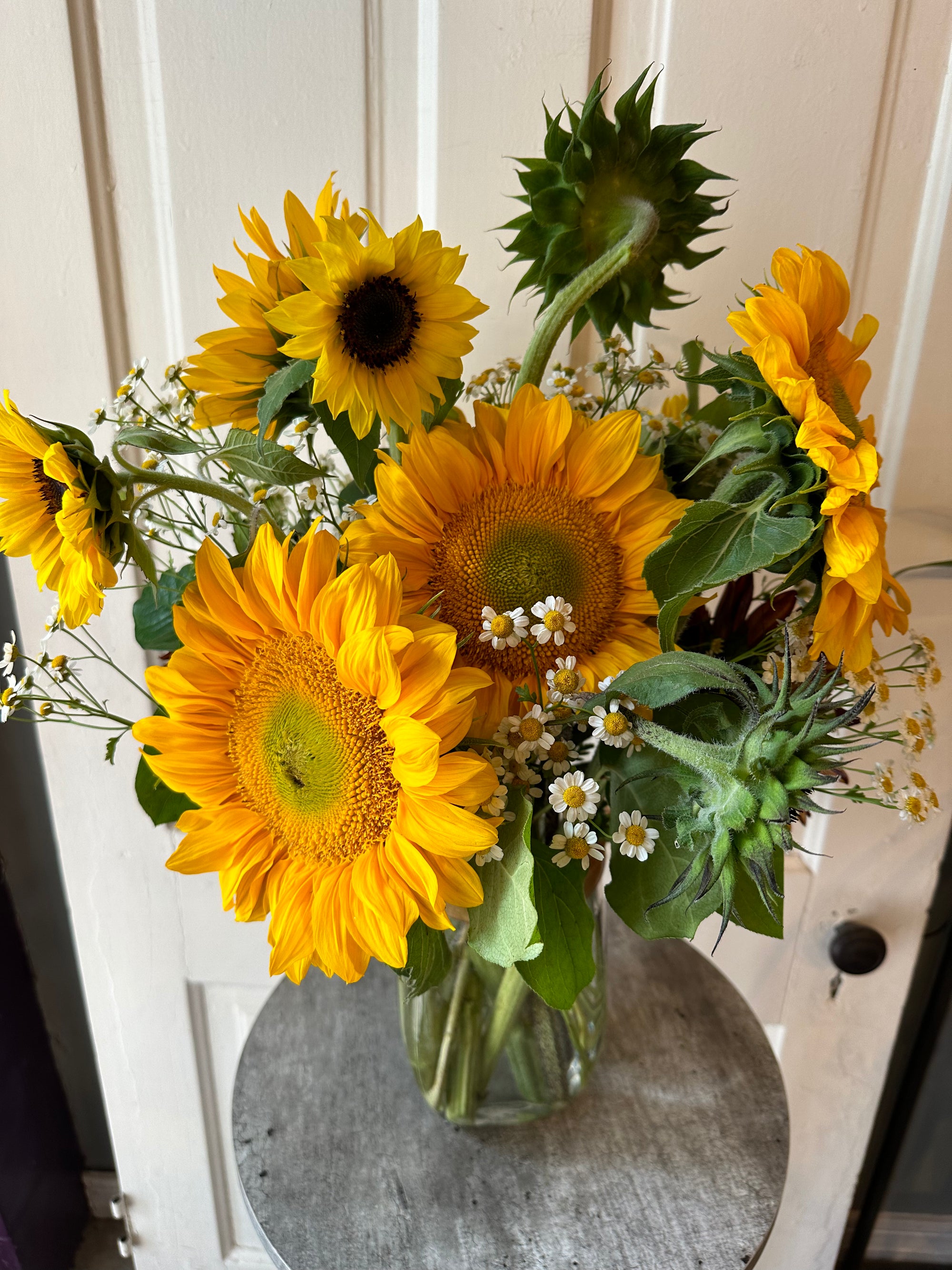 sunflower power
