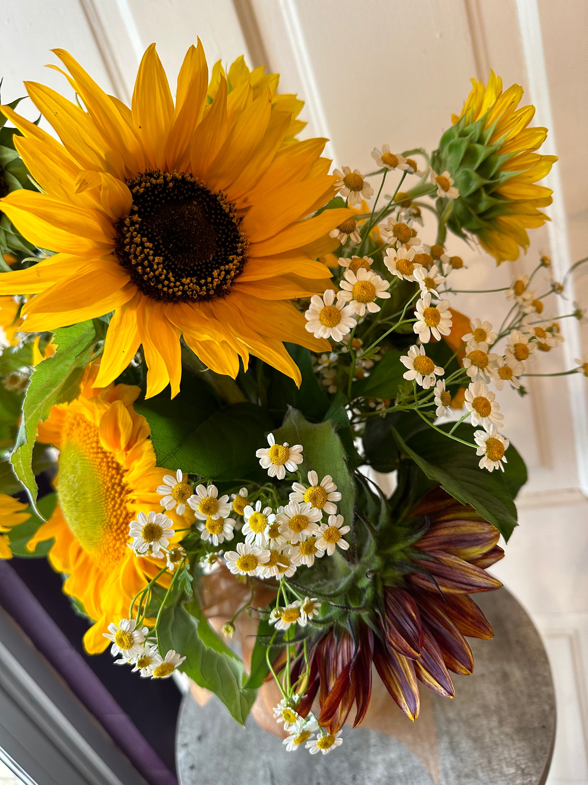 sunflower power