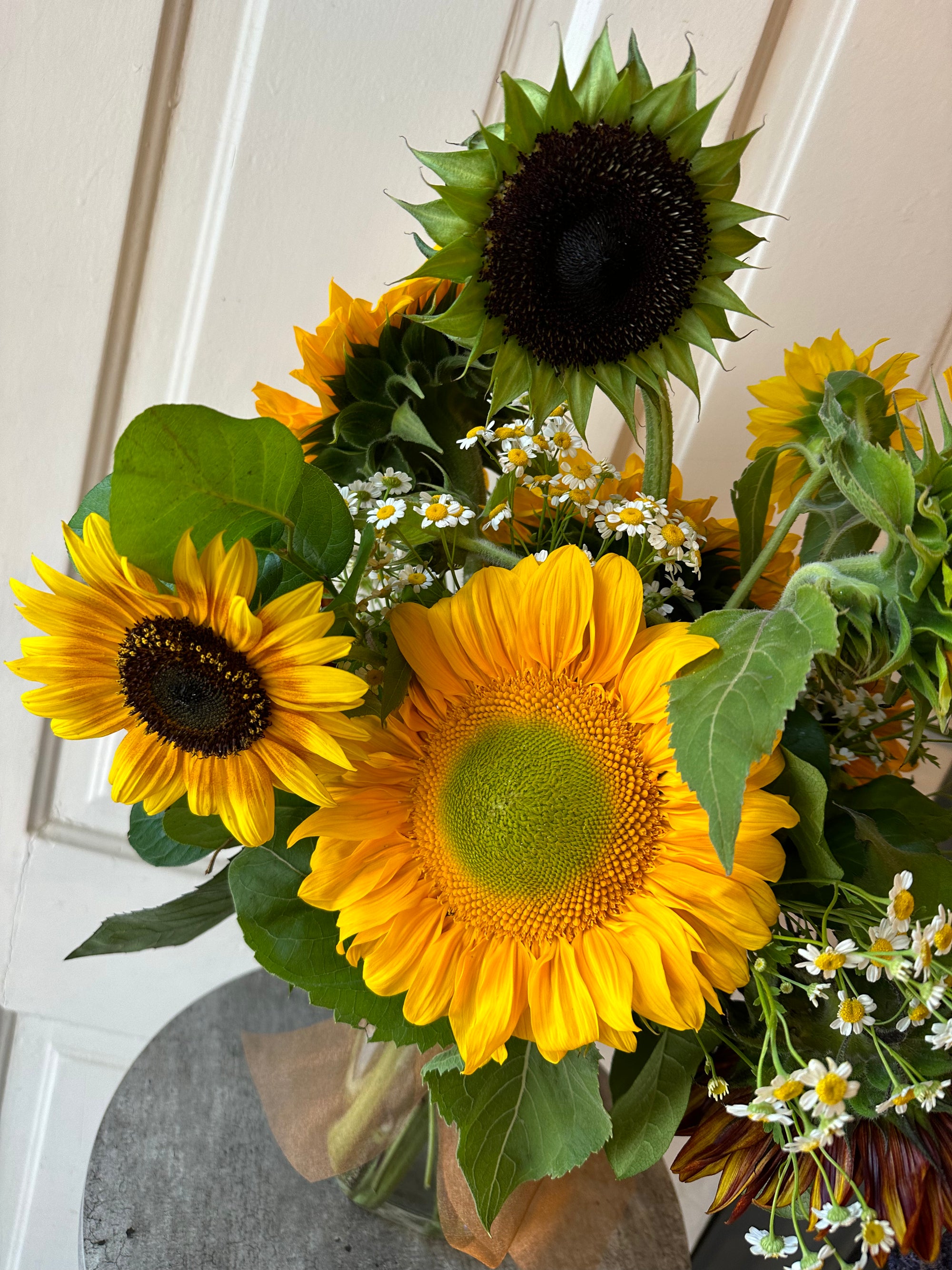 sunflower power