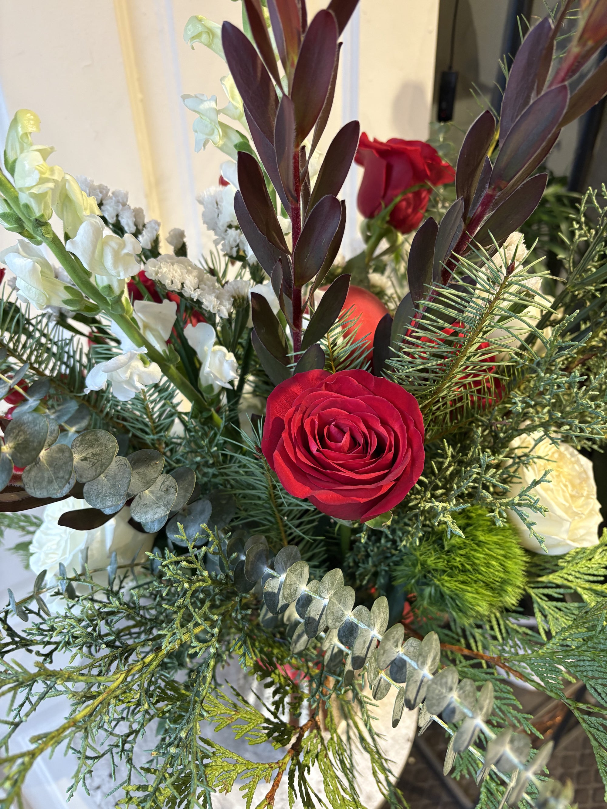 christmas roses and hydrangea