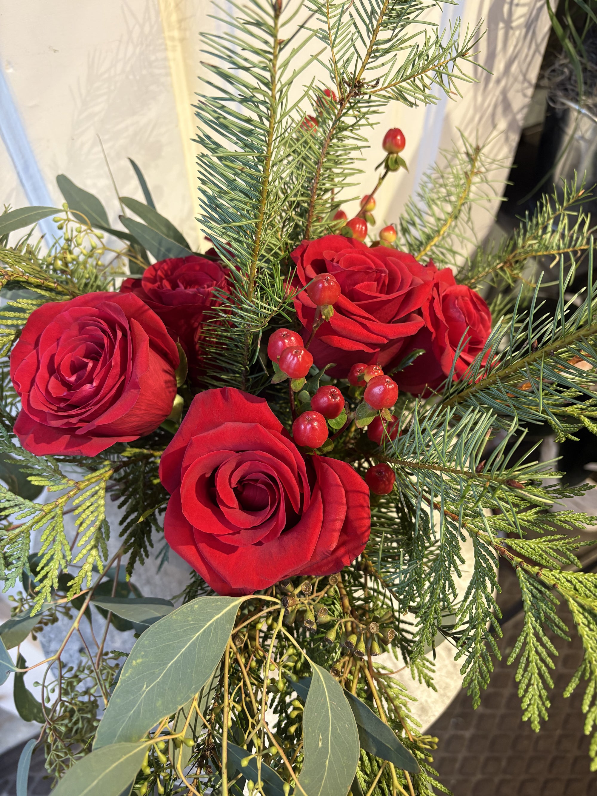 classic christmas roses