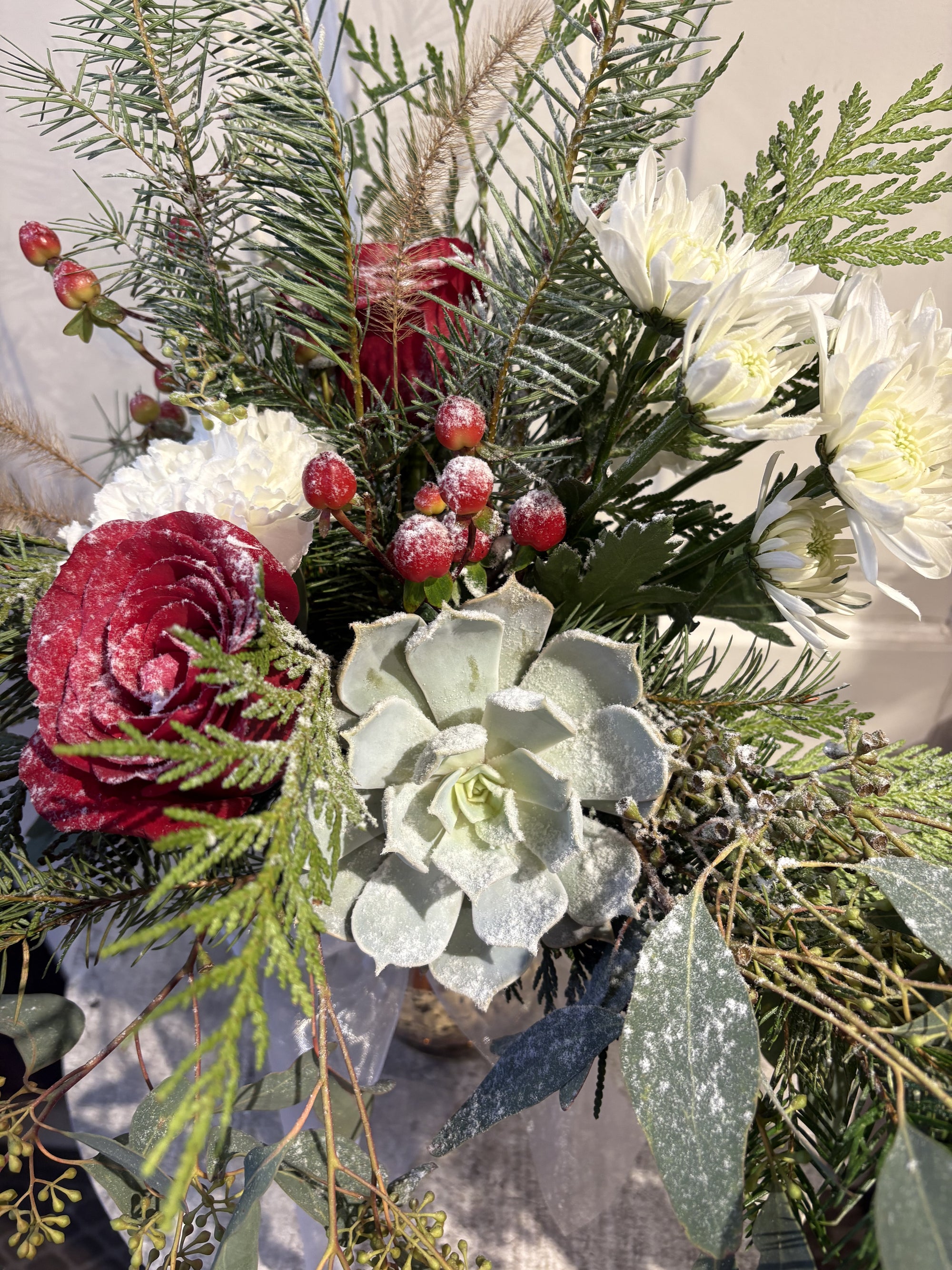 snow covered succulents