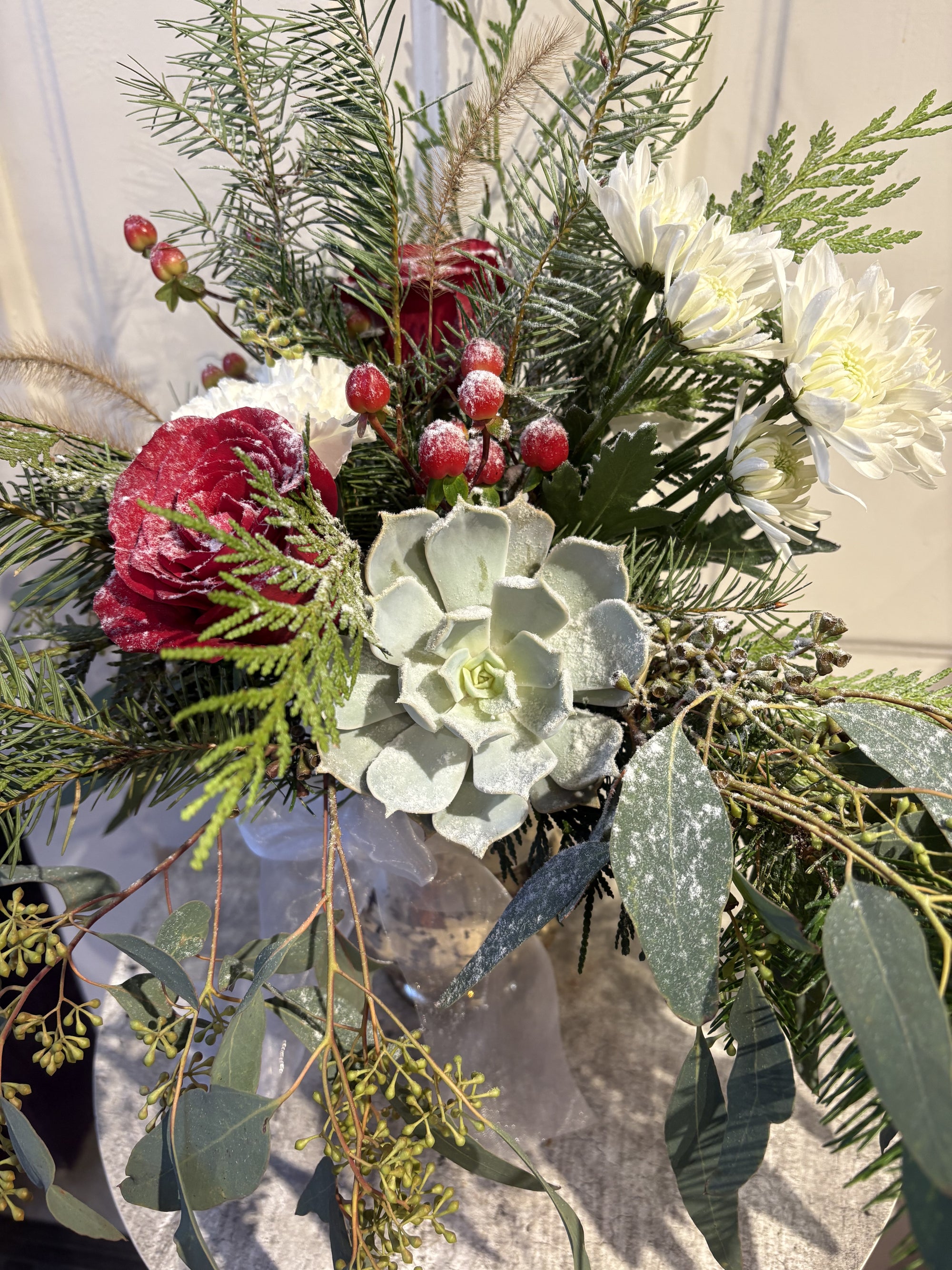 snow covered succulents