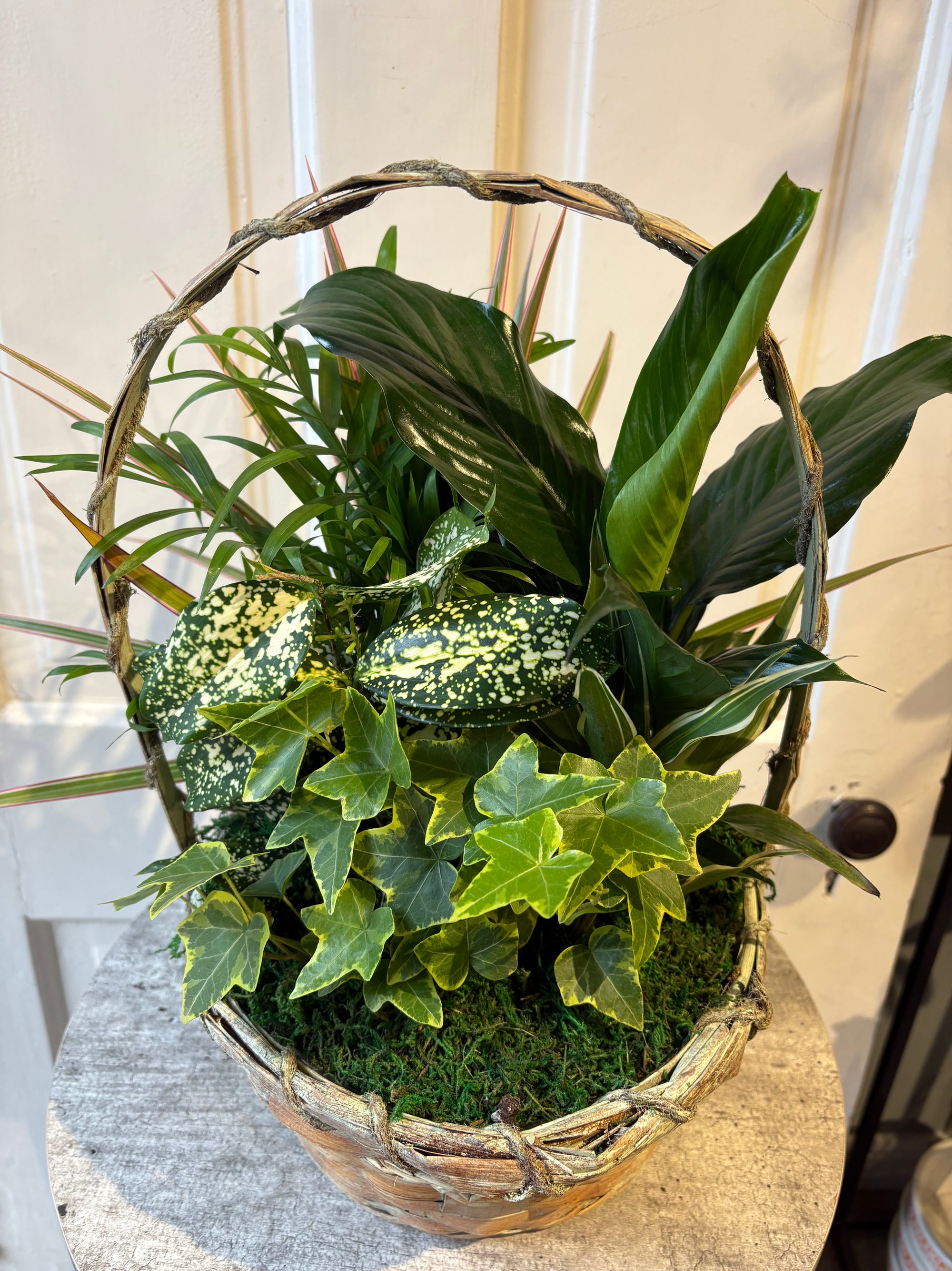 green dish garden