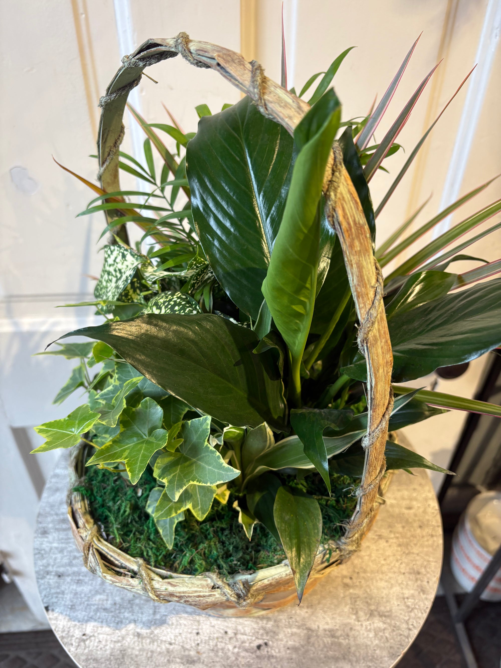 green dish garden