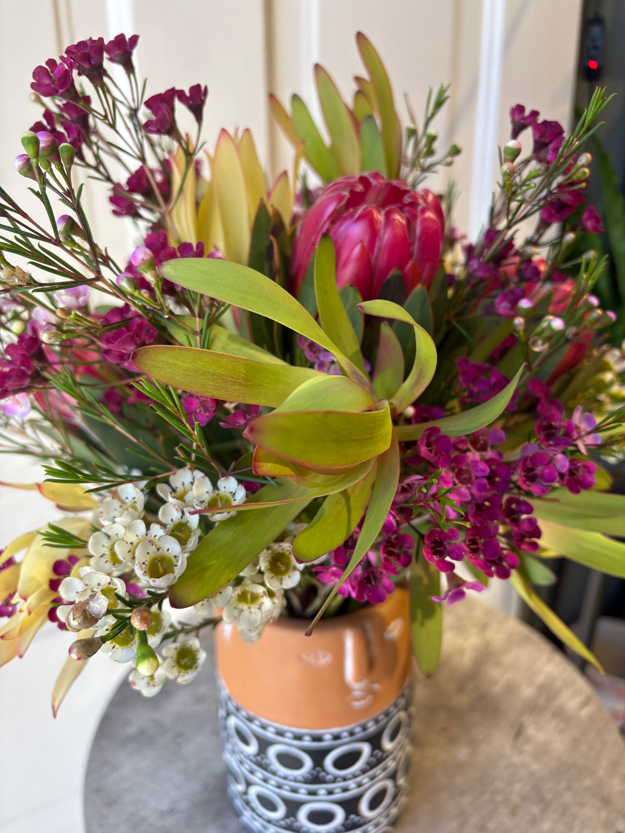 Protea Pierre