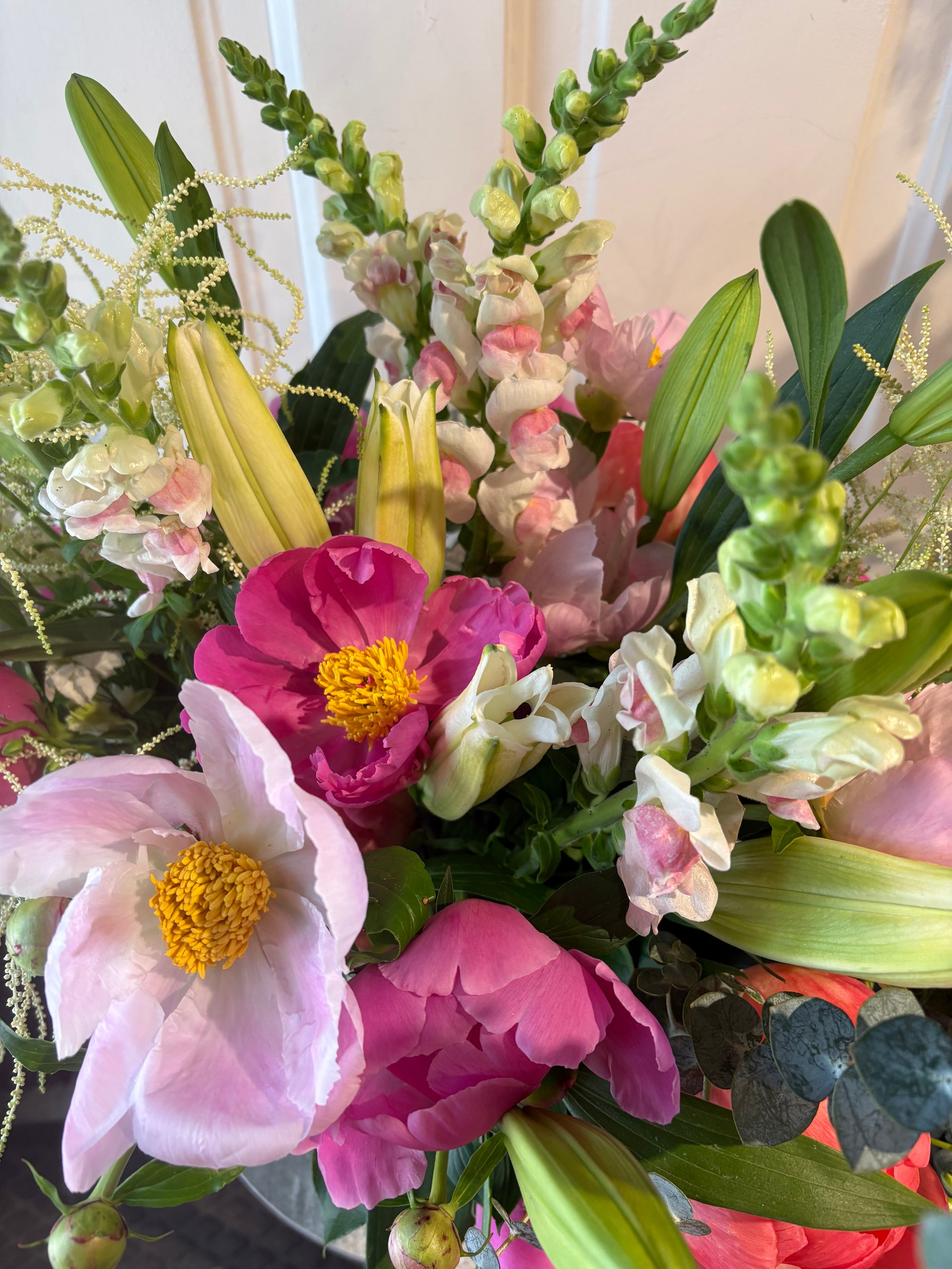 peony perfection