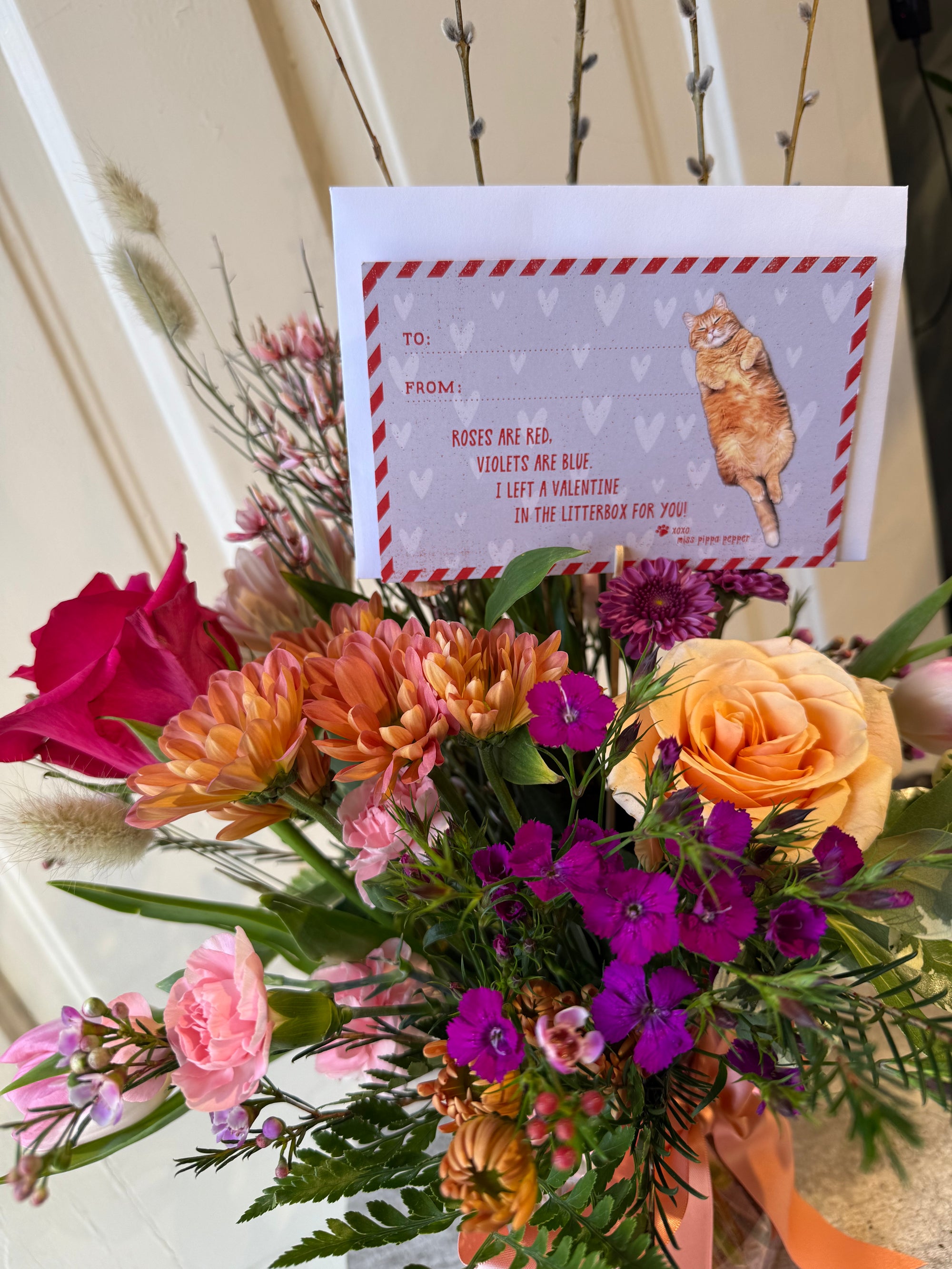 😻🧡 pippa pepper’s valentine 🧡😻