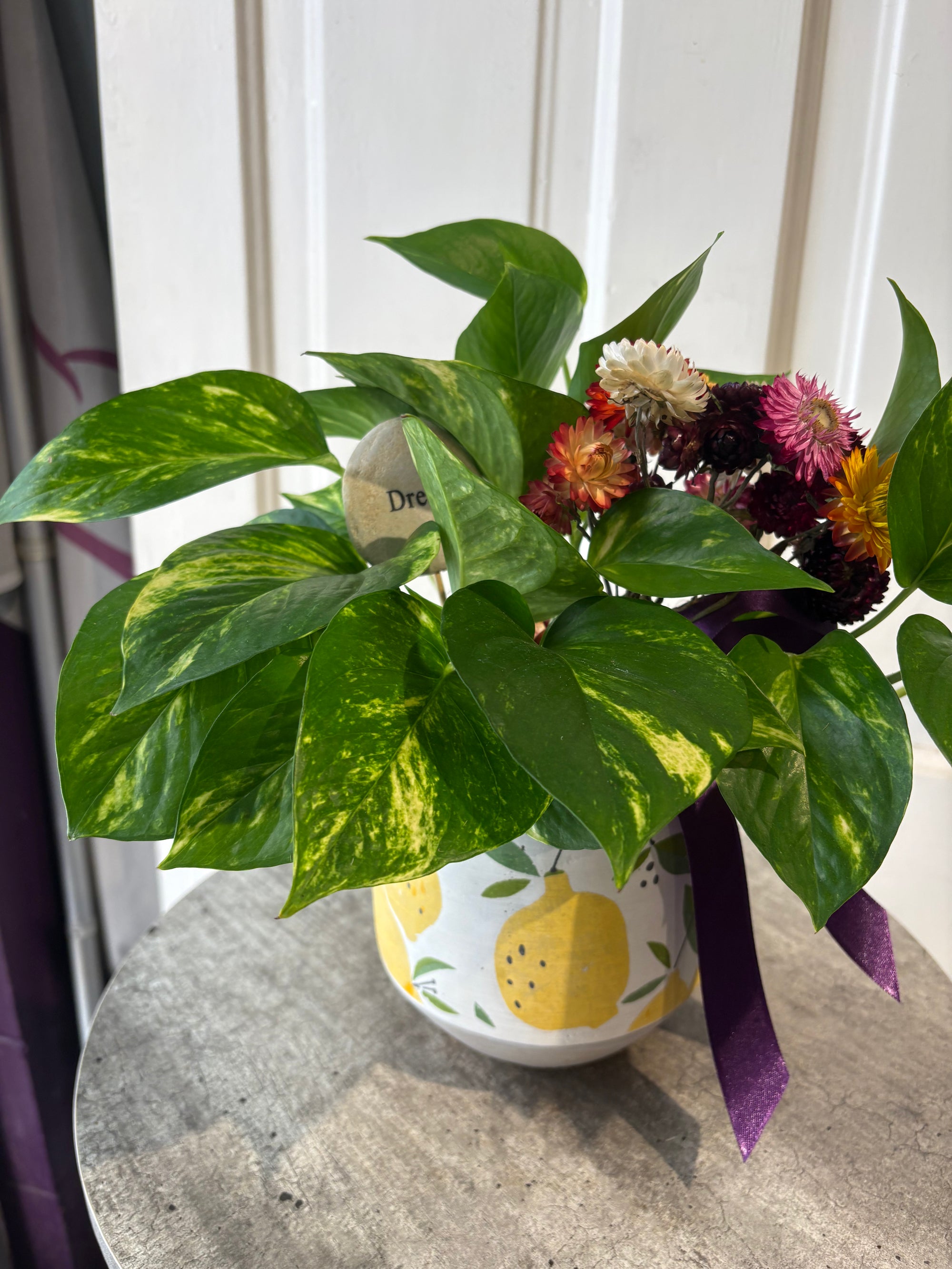 lemon pothos