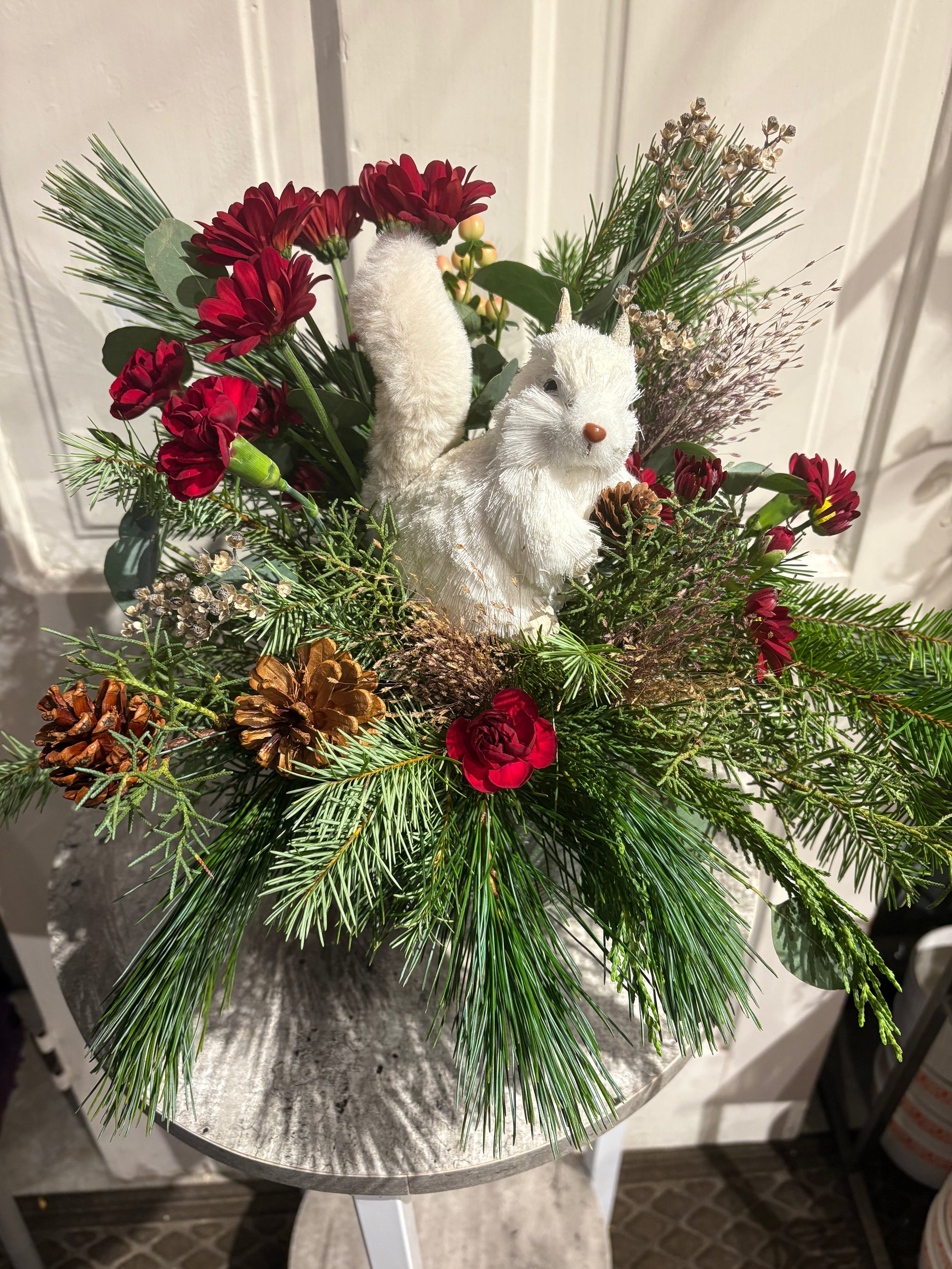 winter white squirrel