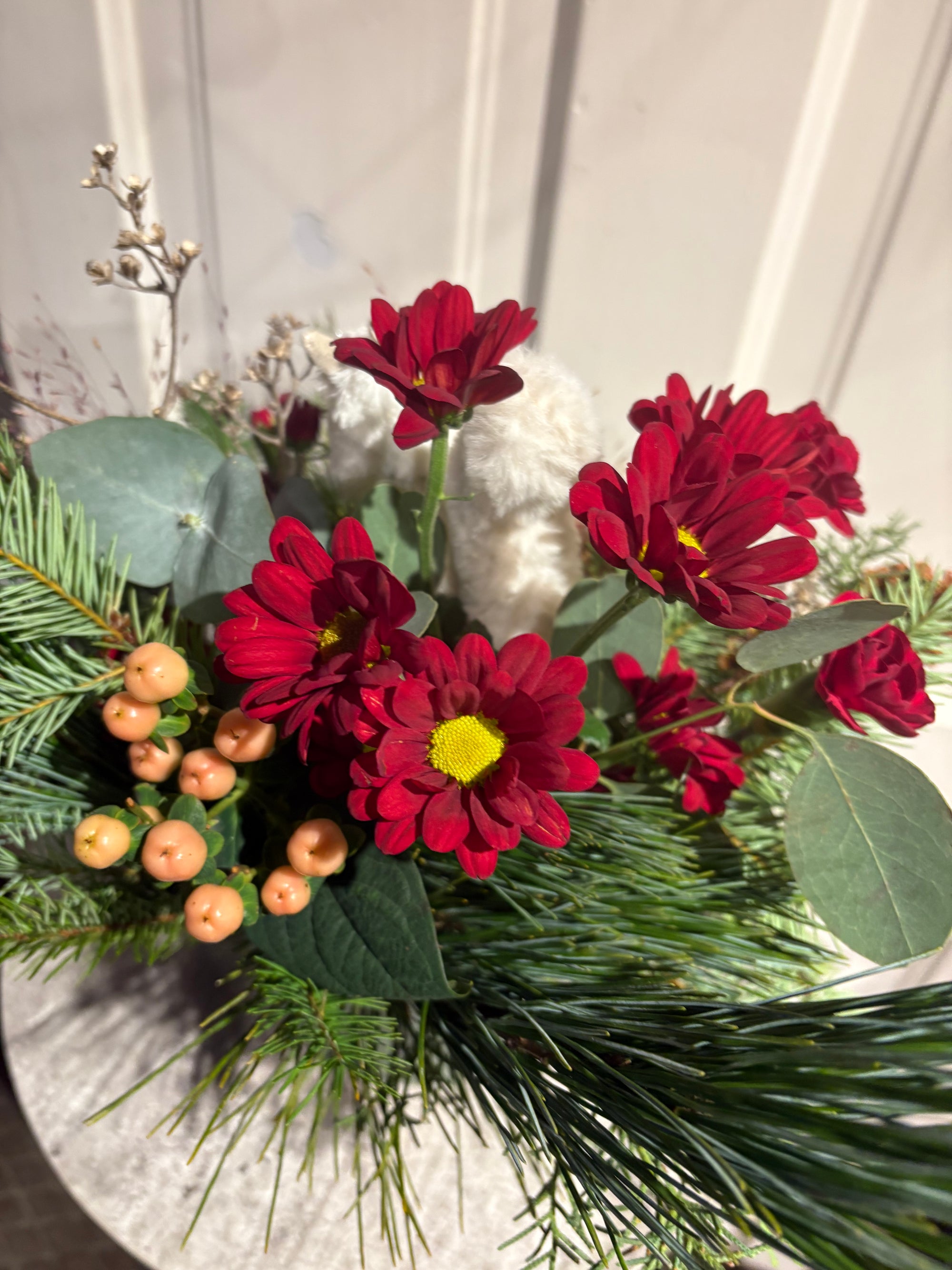 winter white squirrel