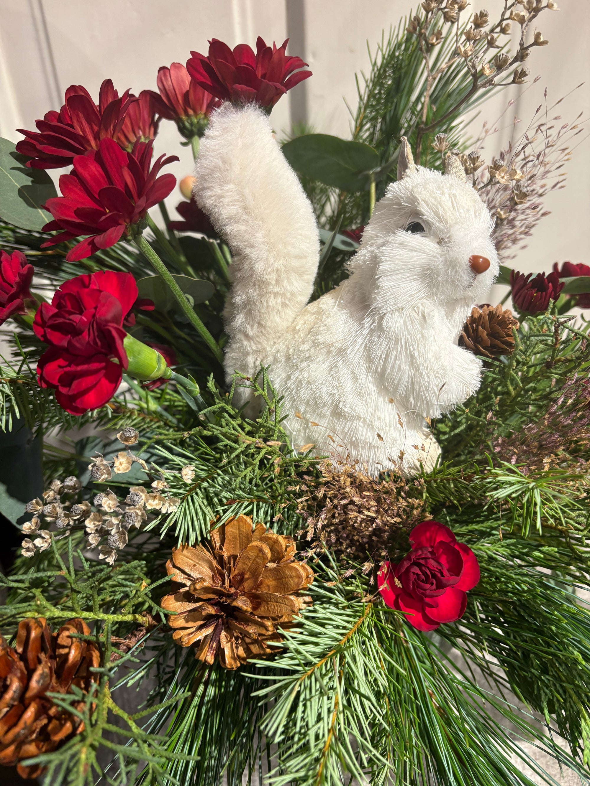 winter white squirrel