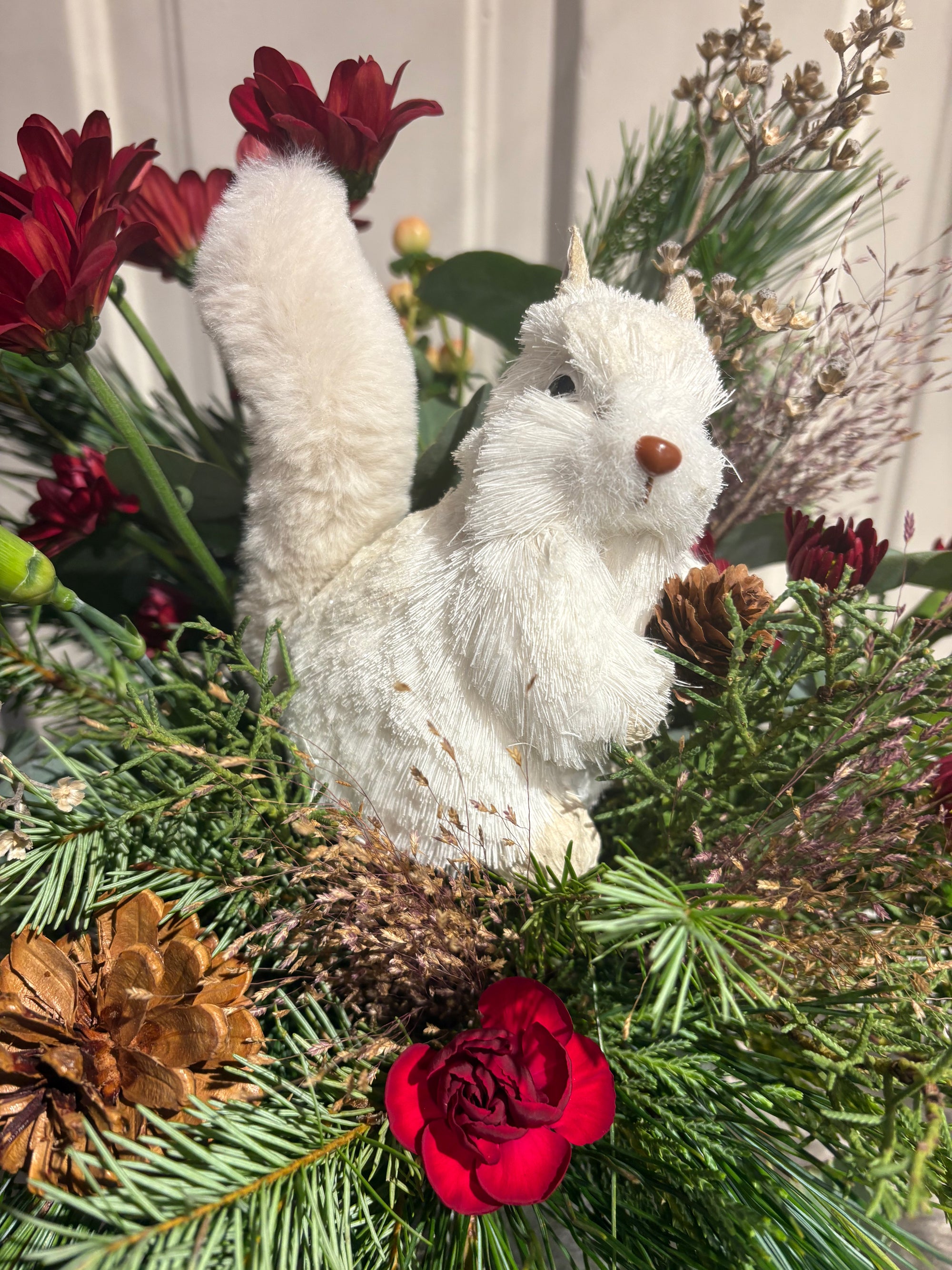 winter white squirrel