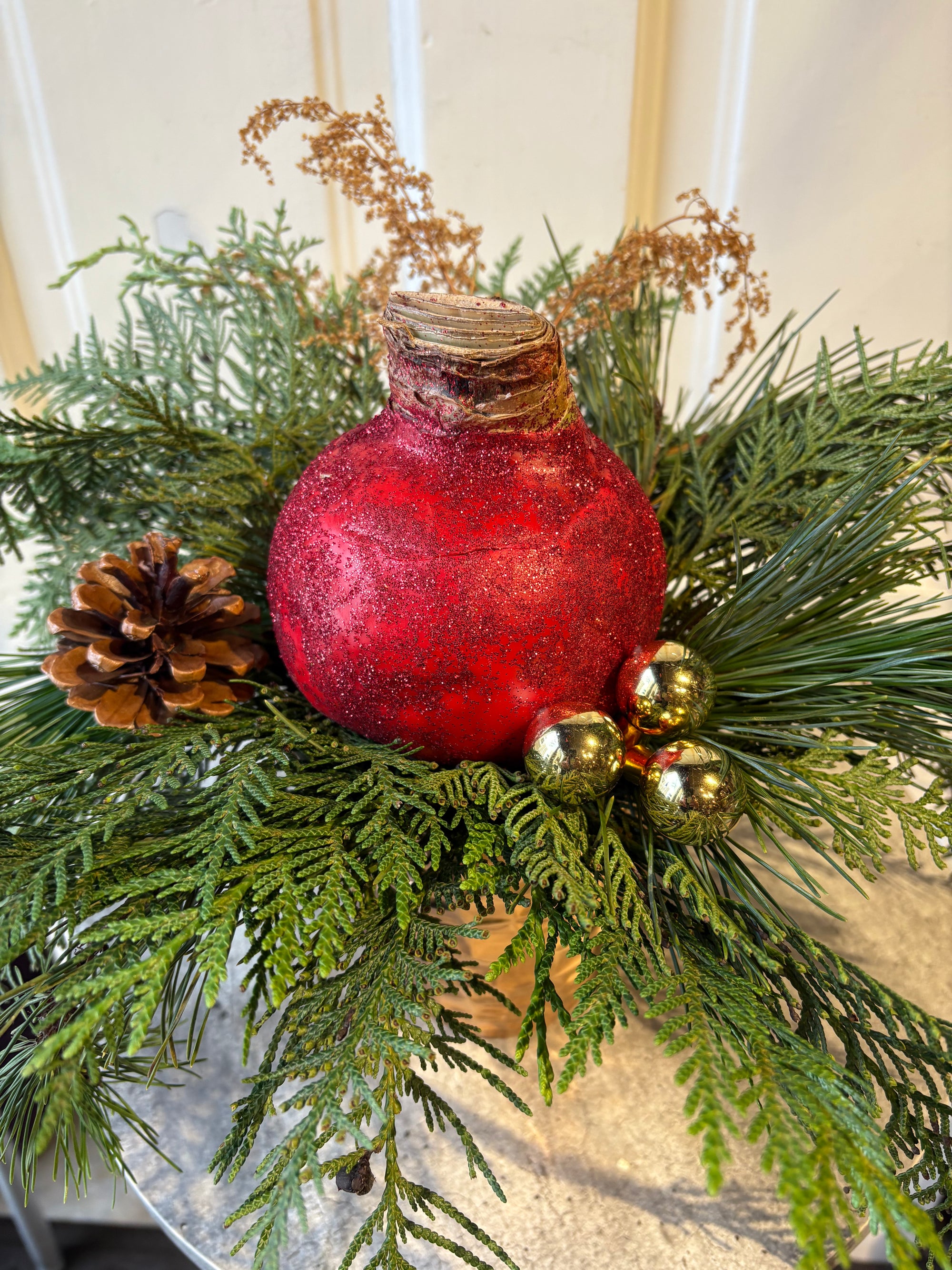 waxed amaryllis bulb