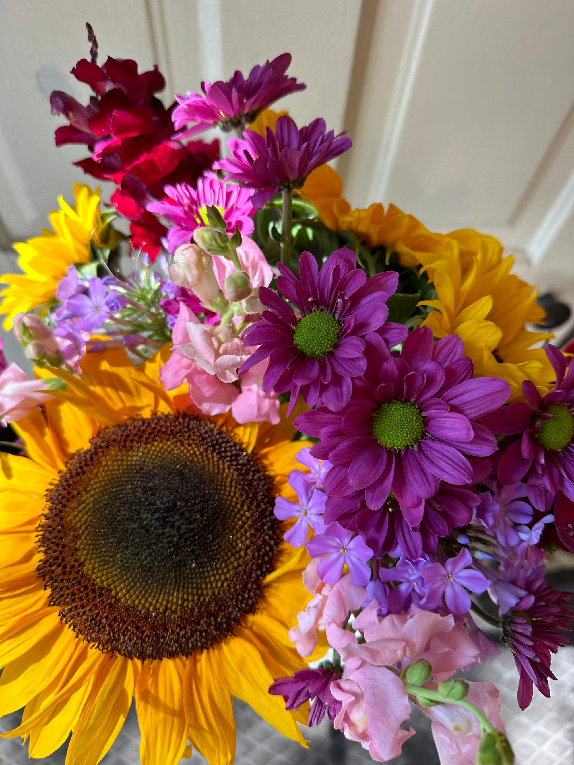 Sunflowers and daisies deals