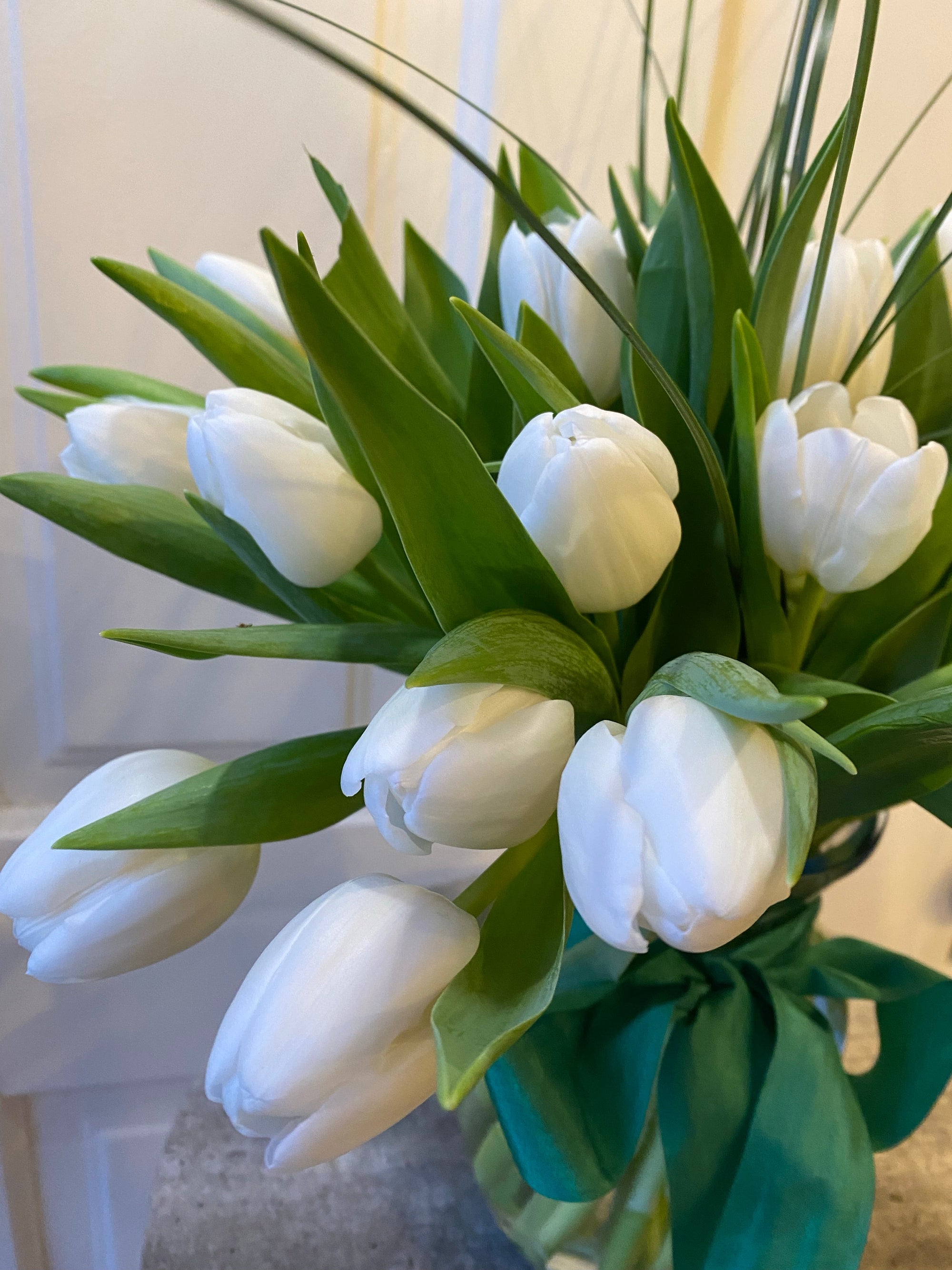 elegant spring tulips