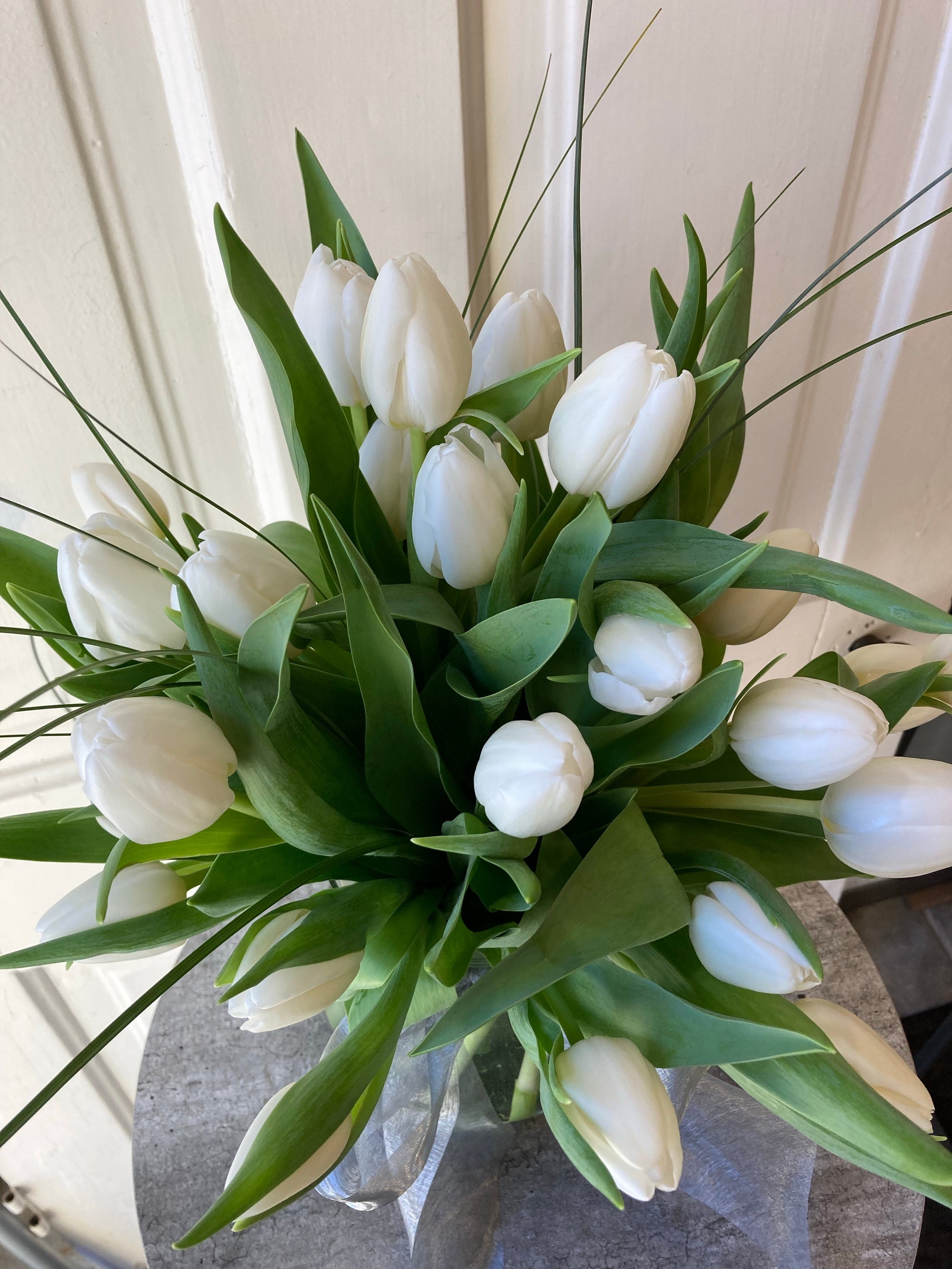 elegant spring tulips